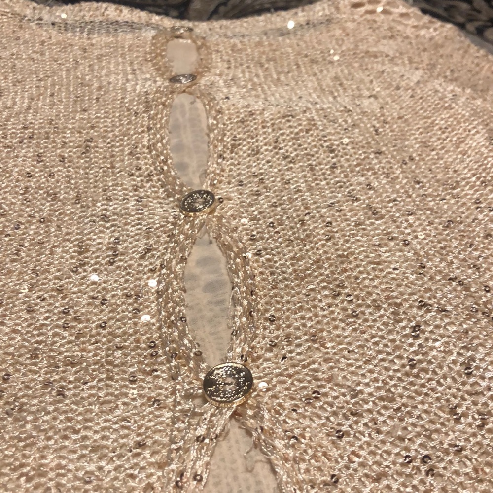 Cream and Gold shear Sweater!
